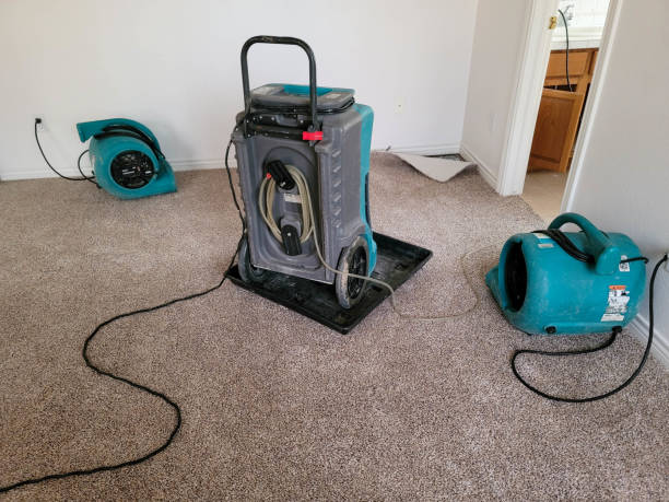 Best Commercial water damage restoration  in Kahoka, MO