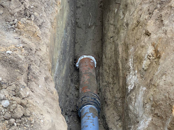 Best Professional water damage repair  in Kahoka, MO