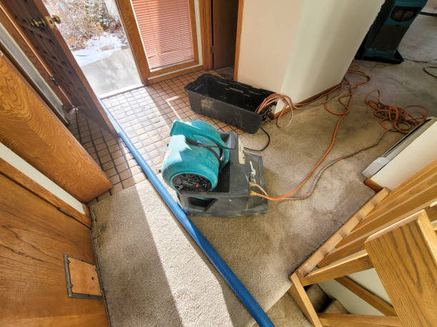 Best Water damage restoration specialists  in Kahoka, MO