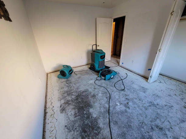Best Water damage mitigation services  in Kahoka, MO