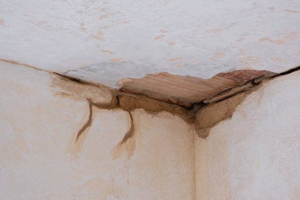 Water damage restoration mold remediation in Kahoka, MO