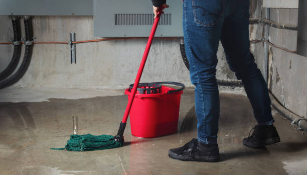 Best Mold removal after water damage  in Kahoka, MO