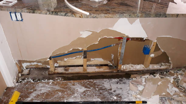 Best Water damage cleanup near me  in Kahoka, MO