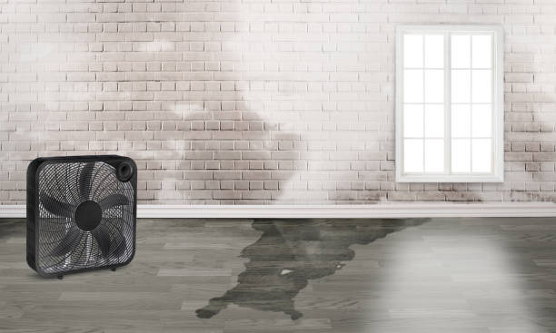 Best Sewage cleanup and water damage restoration  in Kahoka, MO