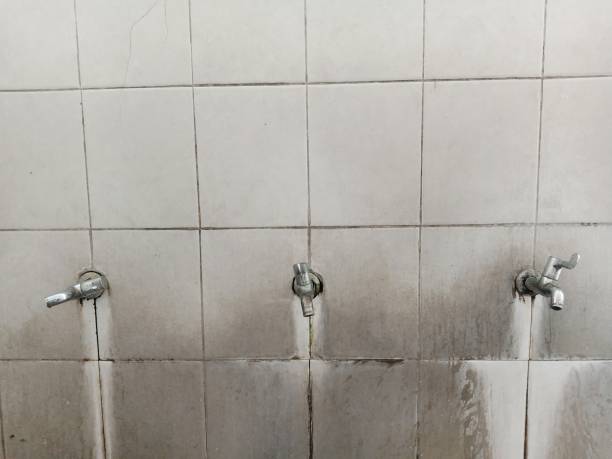 Reliable Kahoka, MO Water damage restoration Solutions