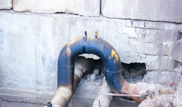 Best Carpet water damage restoration  in Kahoka, MO