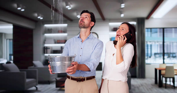 Best Water damage restoration insurance claims  in Kahoka, MO